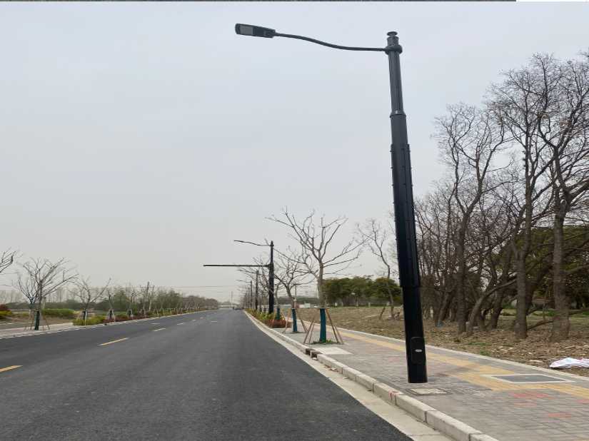 平和县上海综合杆 太阳能路灯工程
